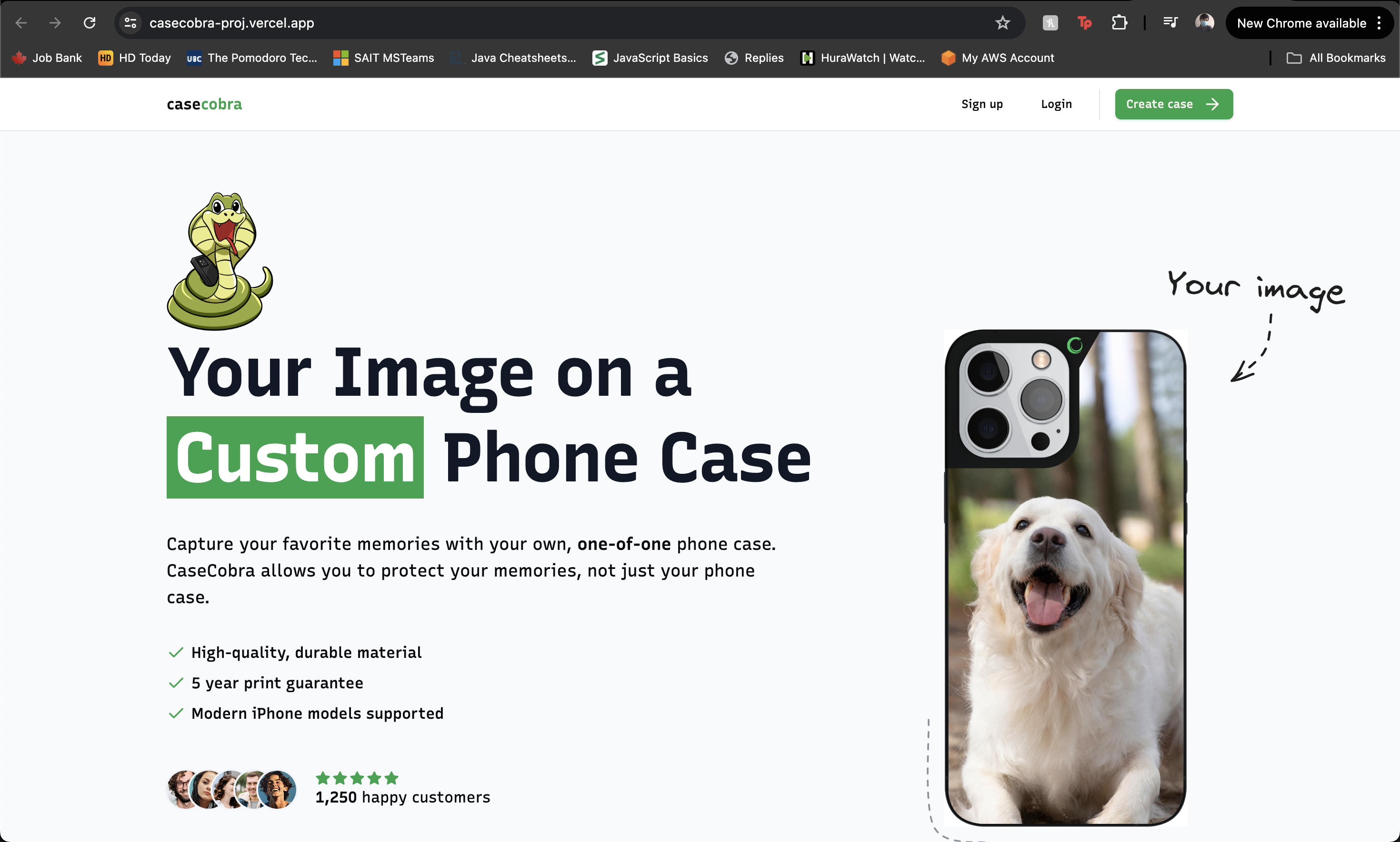 project image